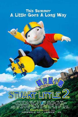 长款2020